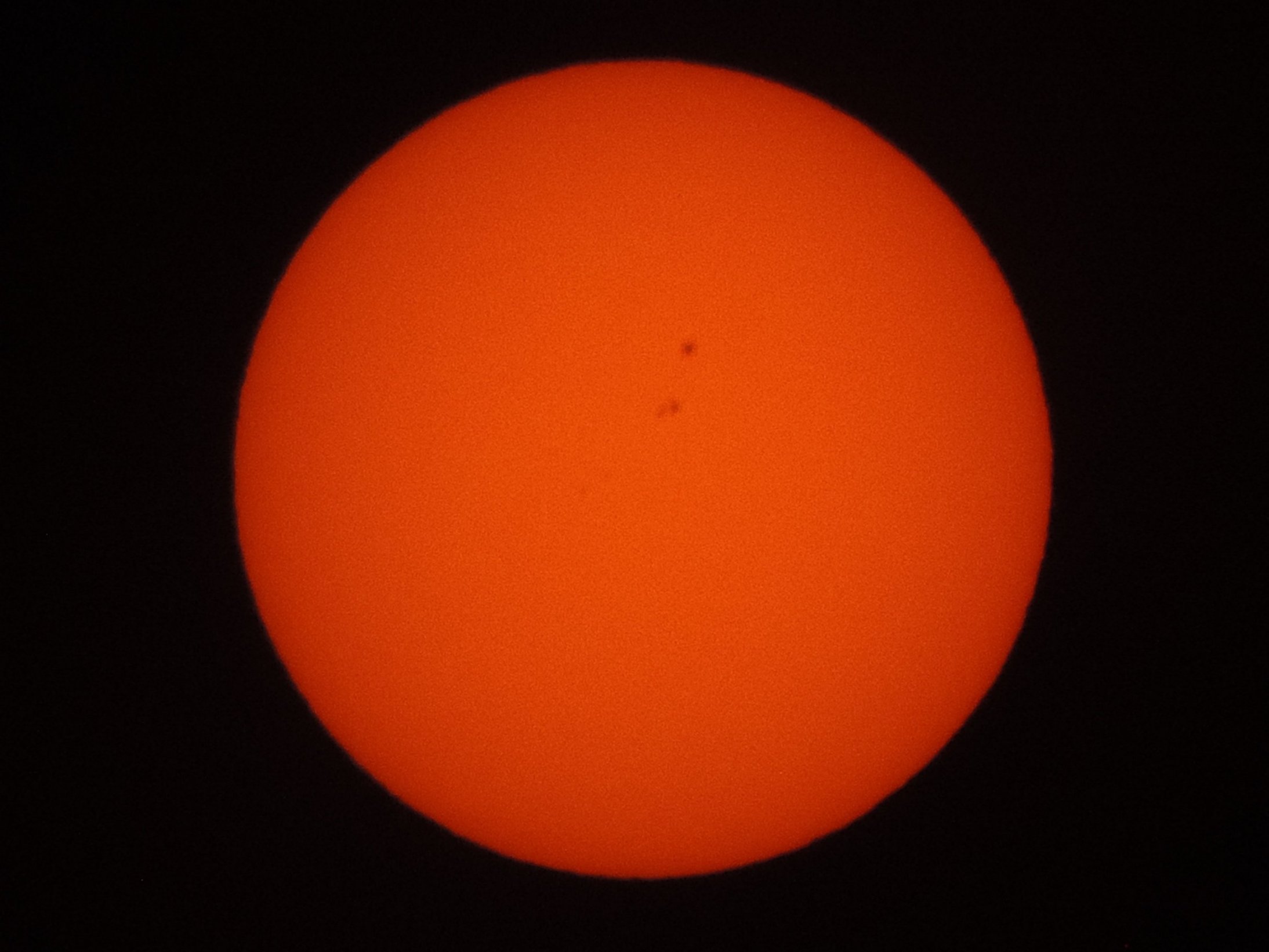 Sole